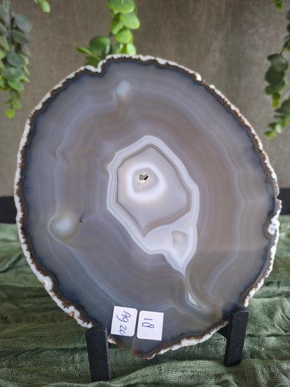 Agaat schijf 20