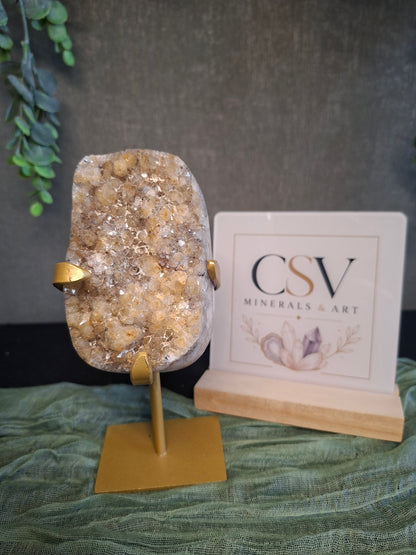 Citrien op gouden standaard