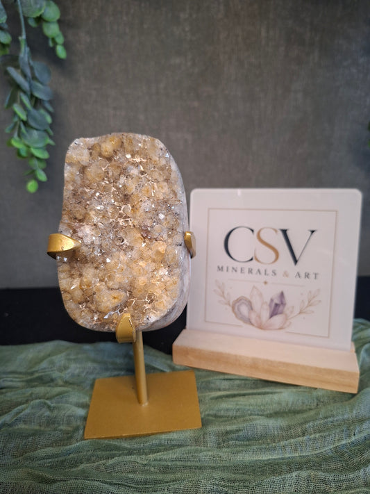 Citrien op gouden standaard