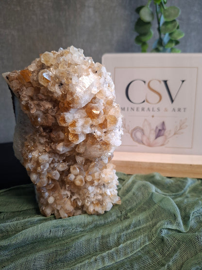 Citrien Cluster zelfstaand