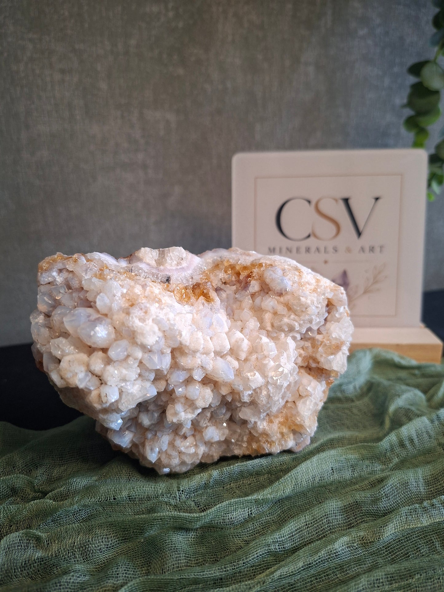 Citrien cluster zelfstaand met sugardruzy