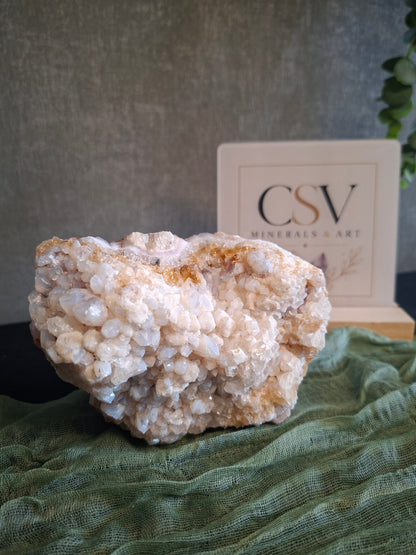 Citrien cluster zelfstaand met sugardruzy
