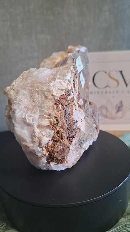 Citrien cluster zelfstaand met sugardruzy