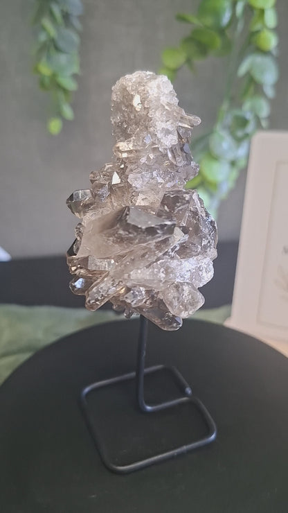 Rookkwart op standaard