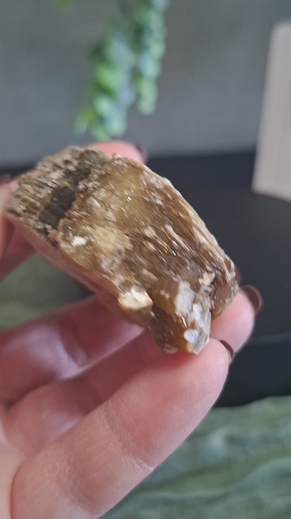 Gouden Mica stukje 25