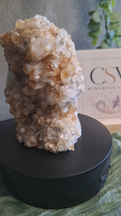 Citrien Cluster zelfstaand
