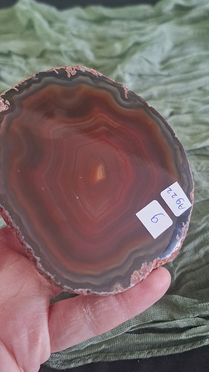 Agaat schijf 22