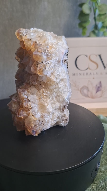 Citrien Cluster staand met Chalcedoon